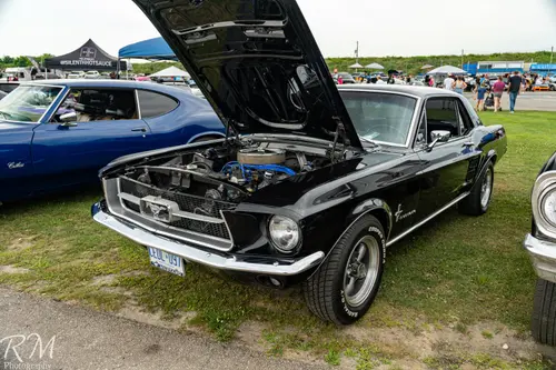 2024Trinity Auto photo 60